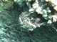 Thumbs/tn_Israel_Day4 041.jpg